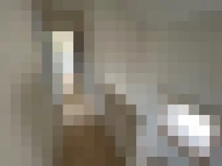 Kastanjestraat 8 Ulft thumbnail 14