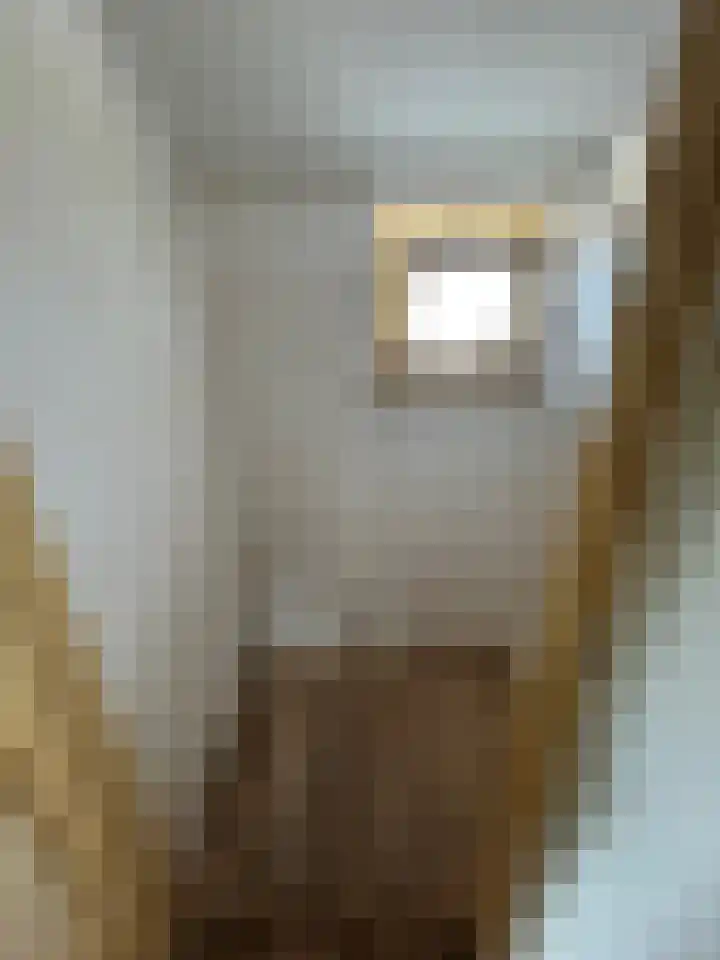 Kastanjestraat 8 Ulft thumbnail 21