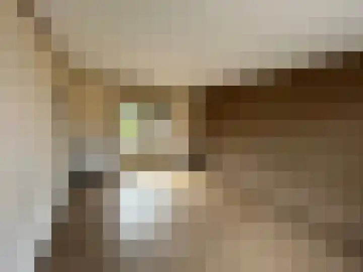 Kastanjestraat 8 Ulft thumbnail 4
