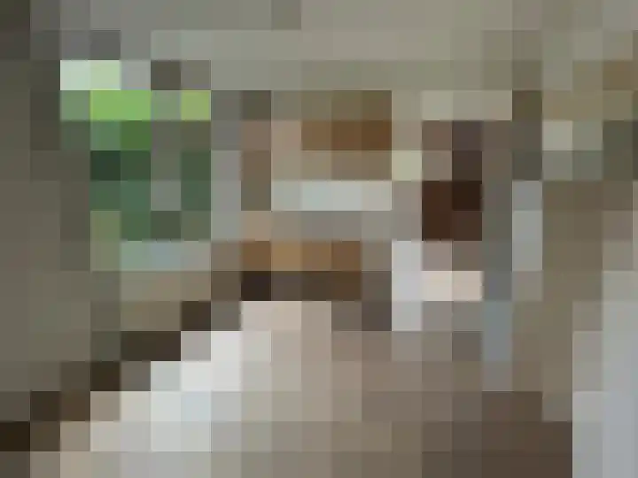 Kastanjestraat 8 Ulft thumbnail 6