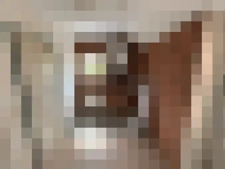 Kastanjestraat 8 Ulft thumbnail 8