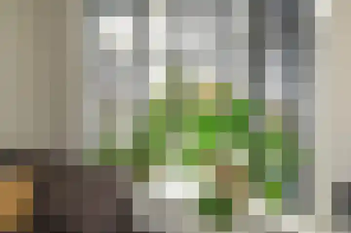 Kastanjestraat 9 Den Haag thumbnail 8