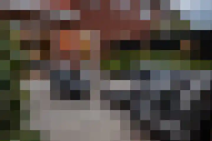 Kastanjestraat 96 Utrecht thumbnail 49