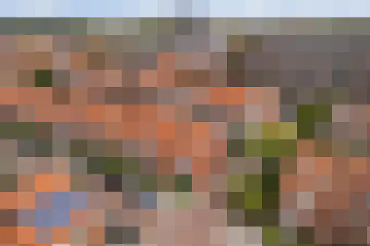 Kastanjestraat 96 Utrecht thumbnail 6