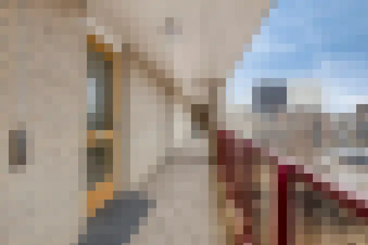 Kastanjeweg 101 Uden thumbnail 12