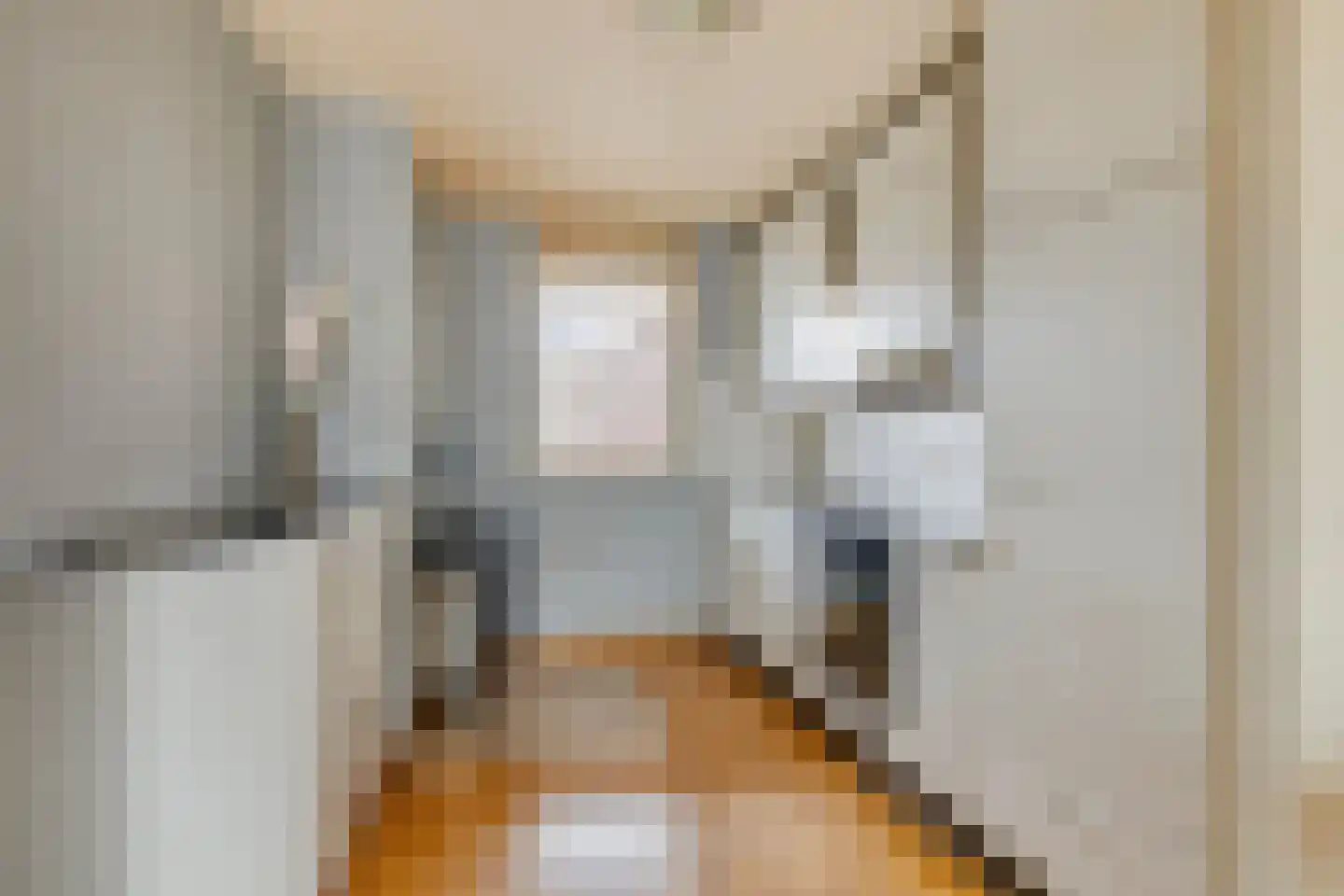 Kastanjeweg 101 Uden thumbnail 17