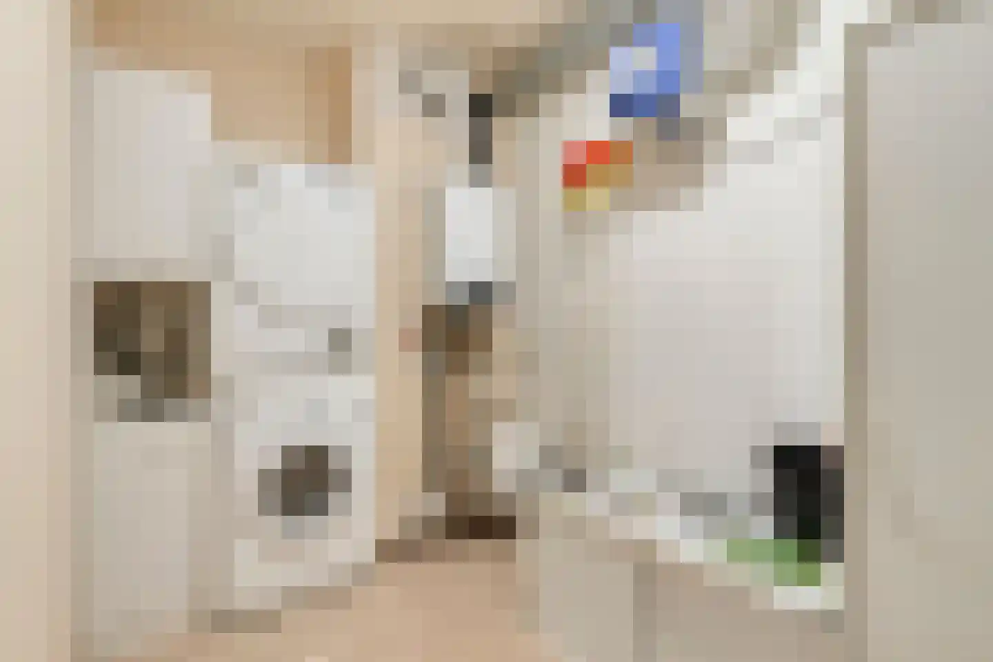 Kastanjeweg 101 Uden thumbnail 26