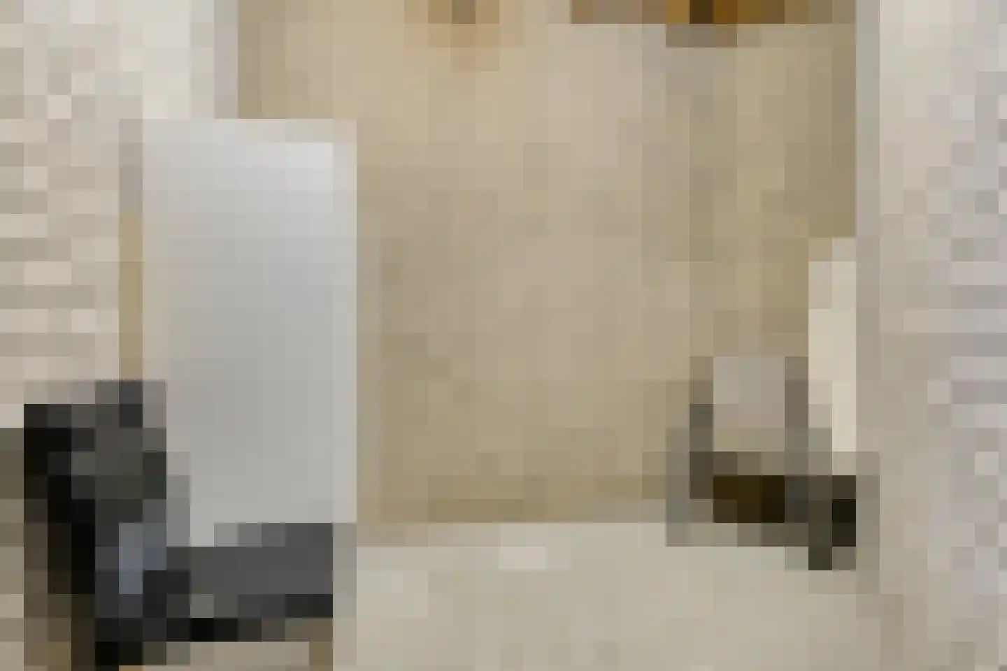 Kastanjeweg 101 Uden thumbnail 29