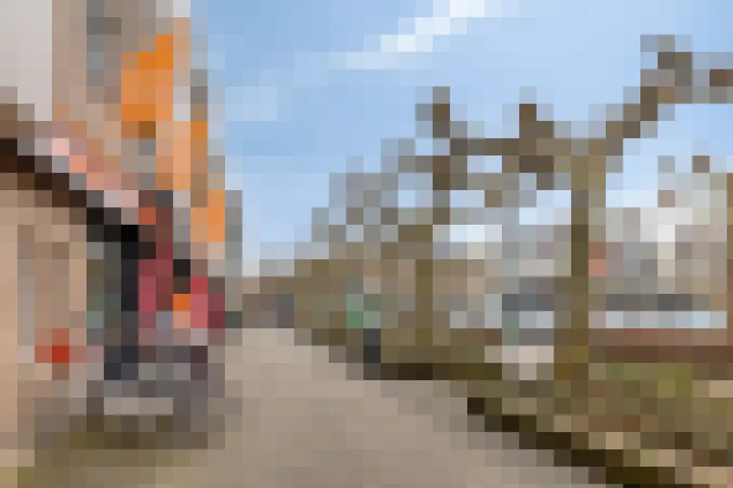 Kastanjeweg 101 Uden thumbnail 31