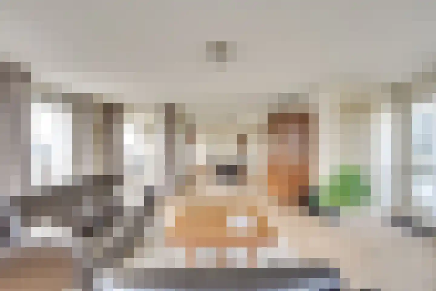 Kastanjeweg 115 Uden thumbnail 12