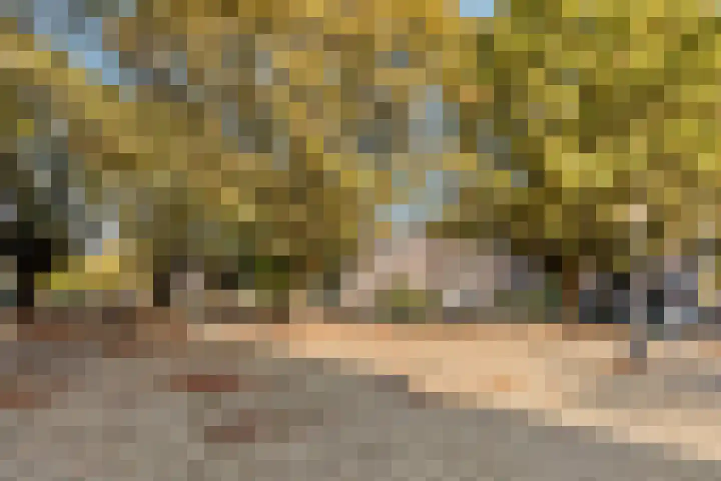 Kastanjeweg 56 Amsterdam thumbnail 36