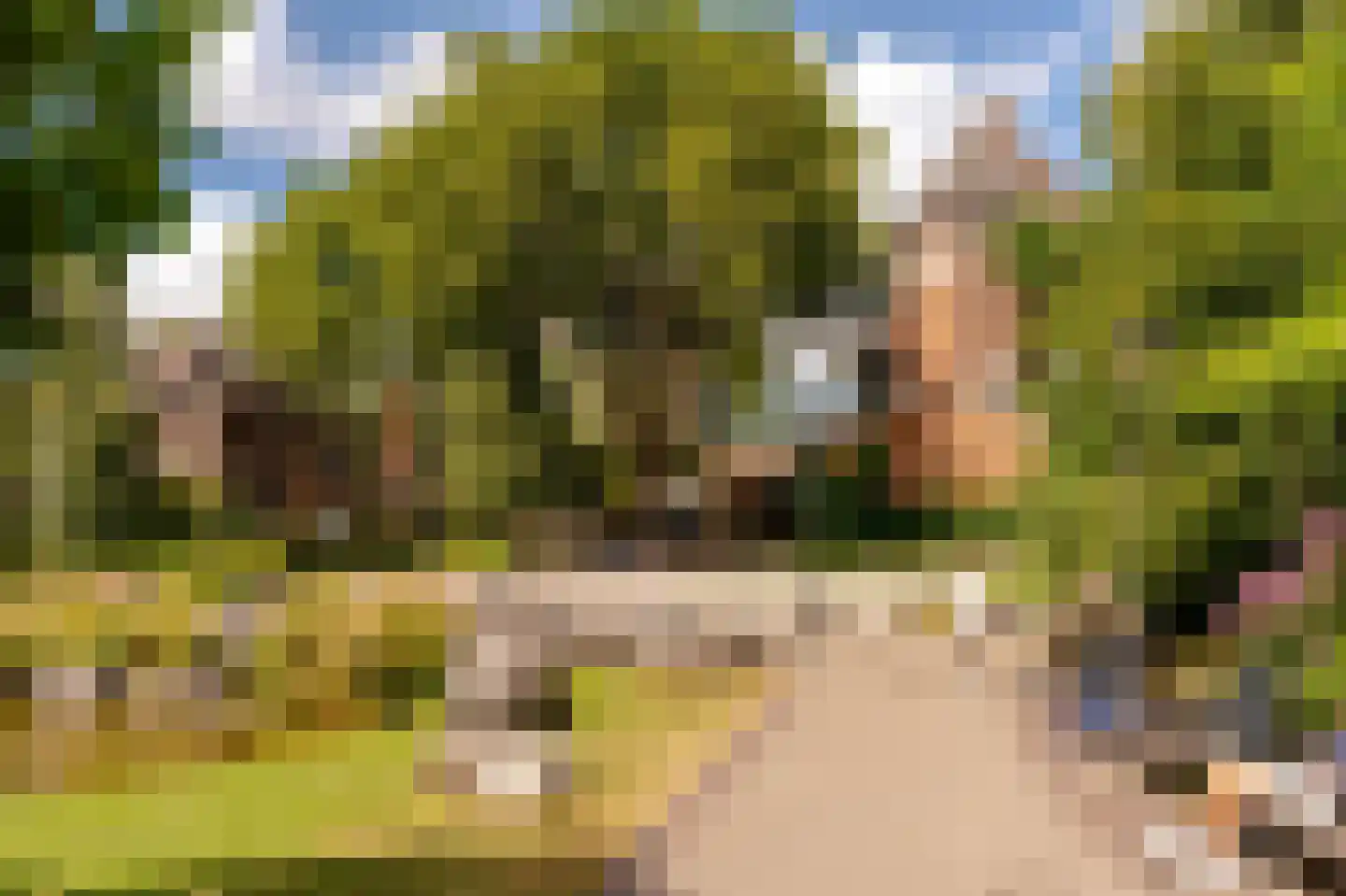 Kastanjeweg 56 Amsterdam thumbnail 38