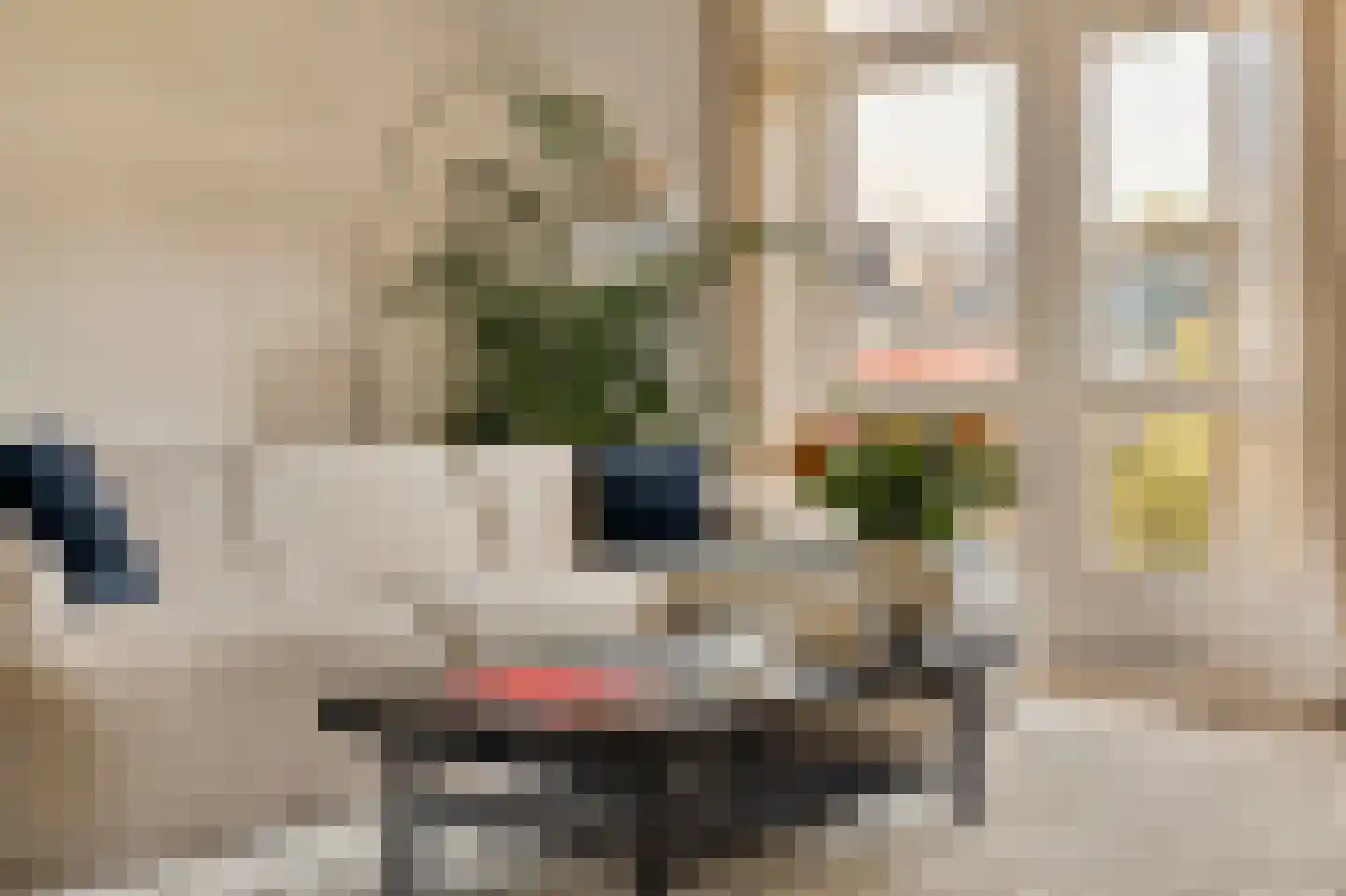 Kastanjeweg 56 Amsterdam thumbnail 4