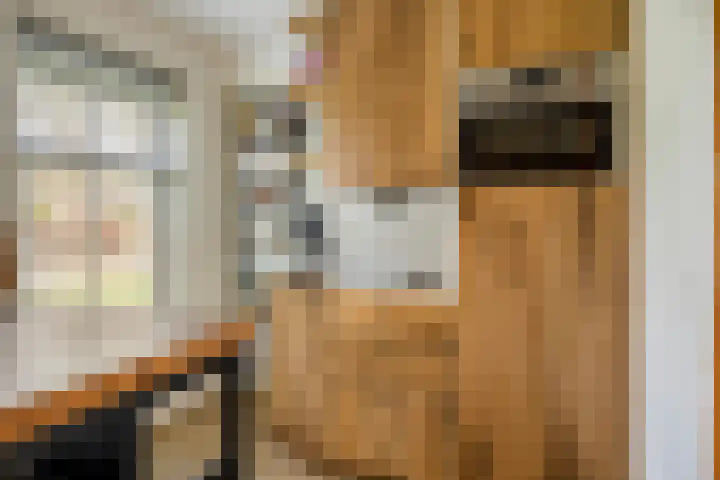 Kasteel 14 Diever thumbnail 13