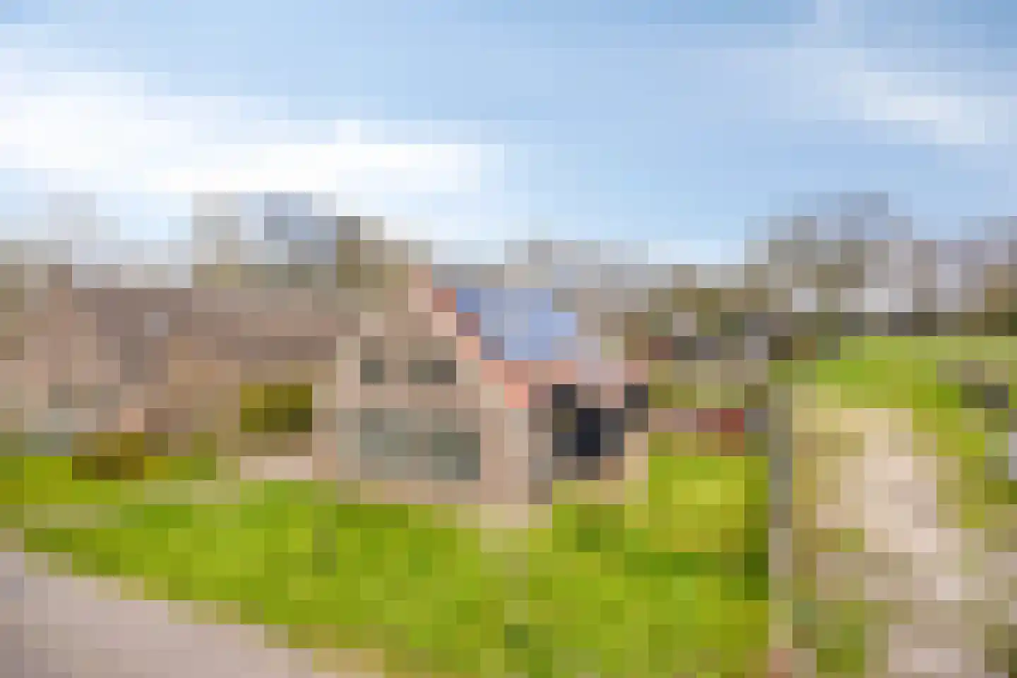 Kasteel 14 Diever thumbnail 30