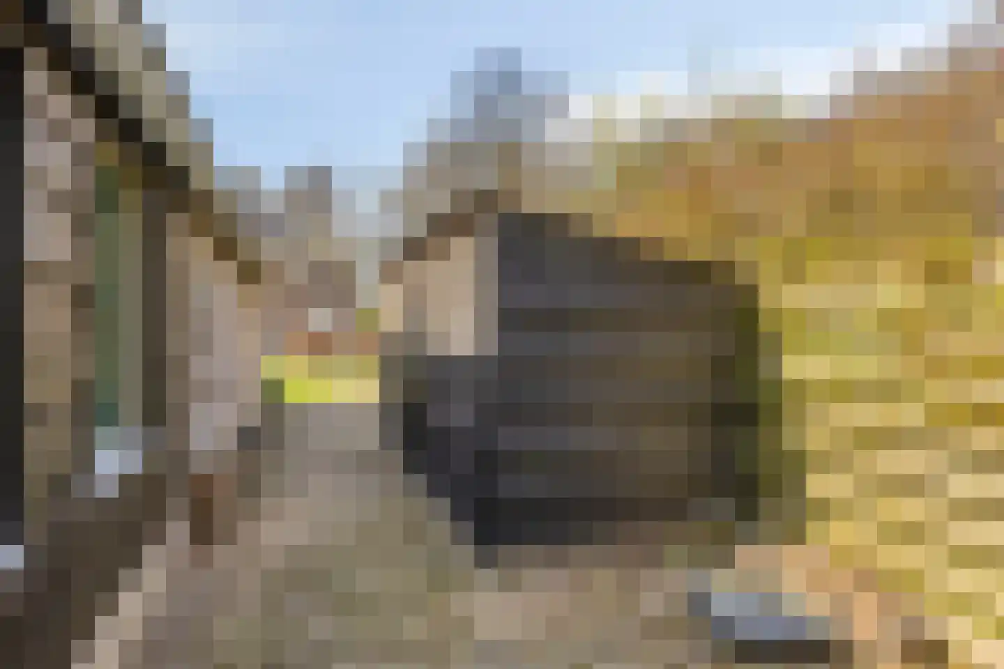 Kasteel 14 Diever thumbnail 32