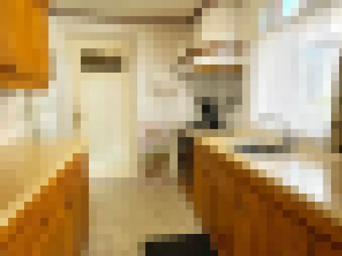 Kasteel 18 Coevorden thumbnail 16