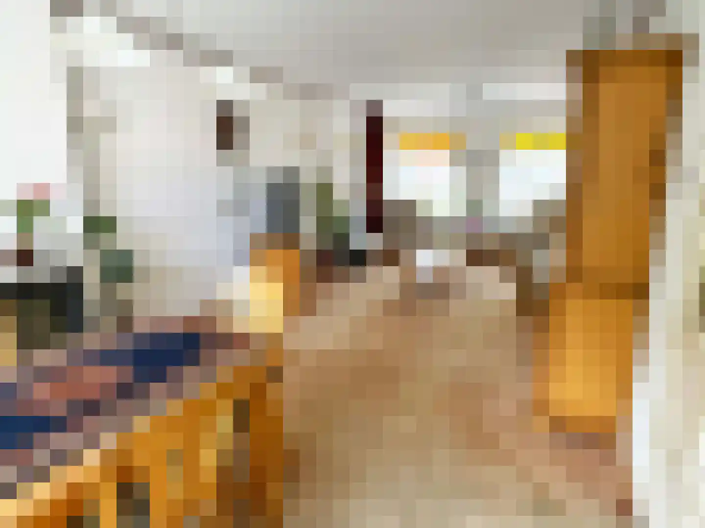 Kasteel 18 Coevorden thumbnail 18