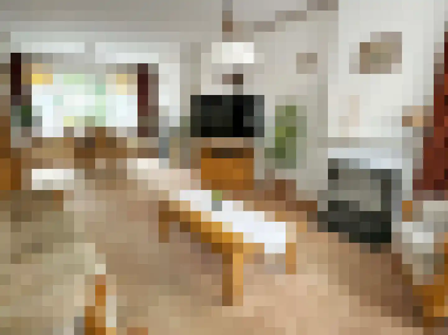 Kasteel 18 Coevorden thumbnail 20
