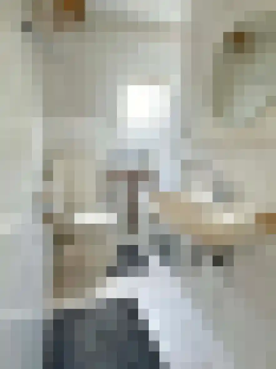 Kasteel 18 Coevorden thumbnail 24