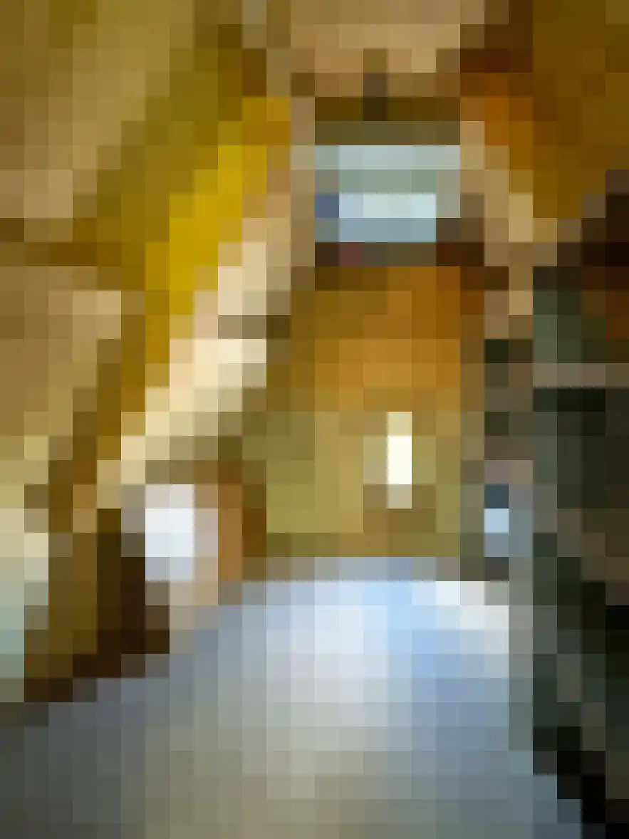 Kasteel 18 Coevorden thumbnail 29