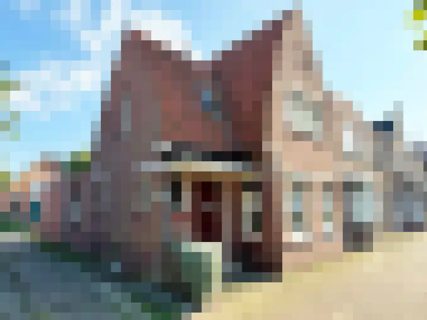 Kasteel 18 Coevorden thumbnail 6