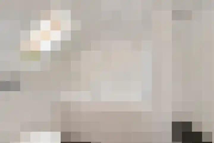 Kasteel 2 Huissen thumbnail 17