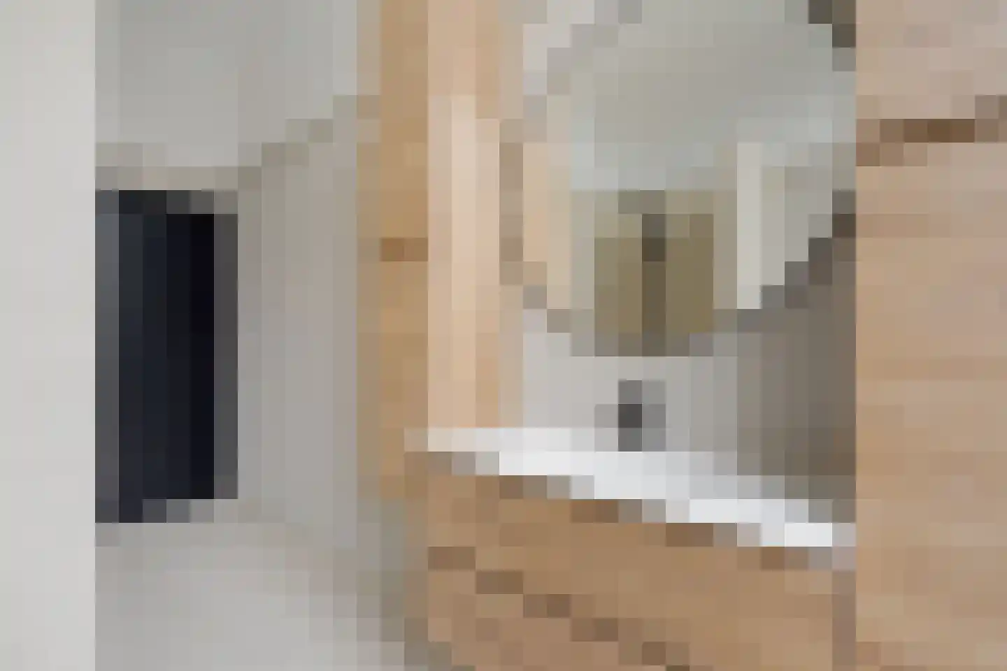 Kasteel 4 D Coevorden thumbnail 36