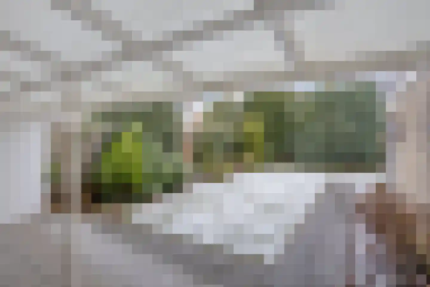 Kasteel Aerwinckelstraat 15 Roermond thumbnail 29
