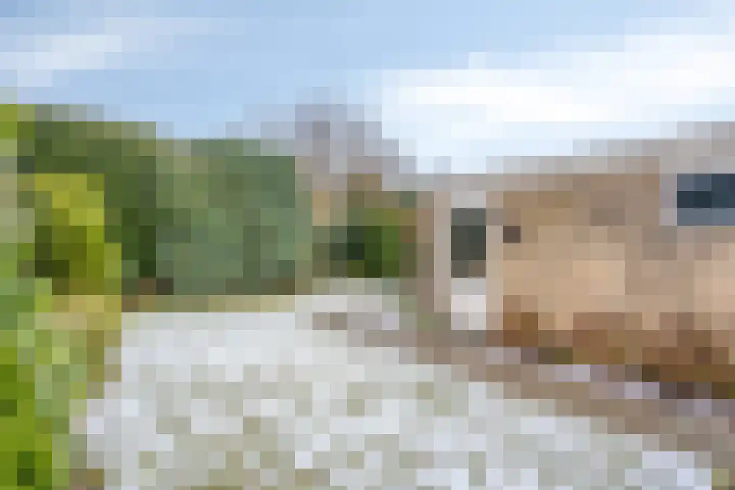 Kasteel Aerwinckelstraat 15 Roermond thumbnail 31