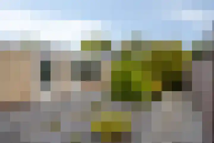Kasteel Aerwinckelstraat 29 Roermond thumbnail 36