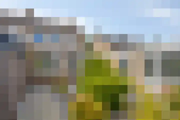Kasteel Aerwinckelstraat 29 Roermond thumbnail 4