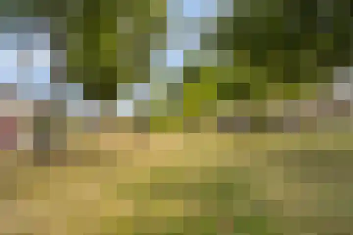 Kasteel Aerwinckelstraat 29 Roermond thumbnail 46