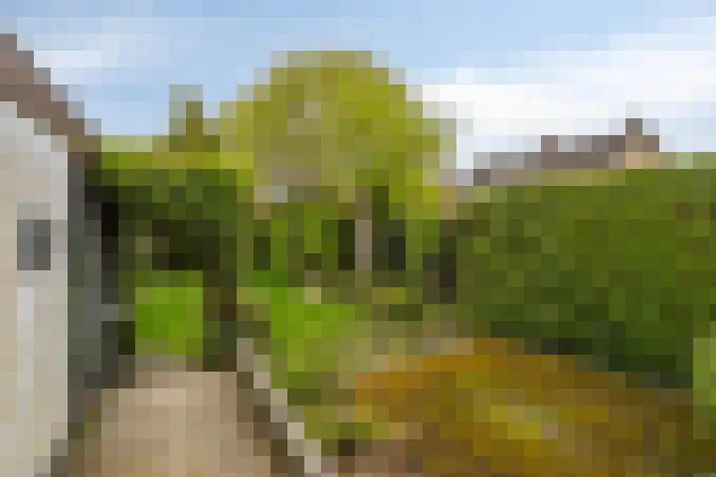 Kasteel Aerwinckelstraat 33 Roermond thumbnail 24