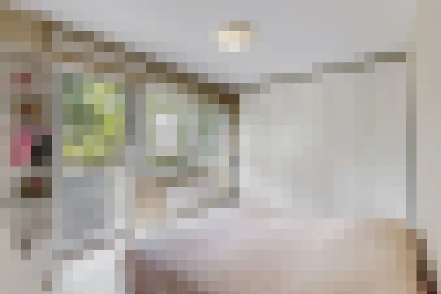 Kasteel Aldenghoorstraat 25 Roermond thumbnail 25