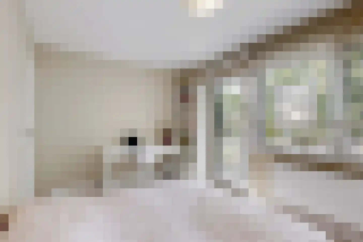 Kasteel Aldenghoorstraat 25 Roermond thumbnail 26