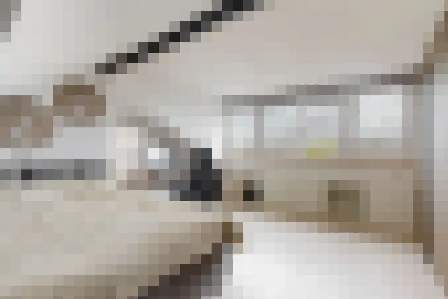 Kasteel Aldenghoorstraat 25 Roermond thumbnail 29