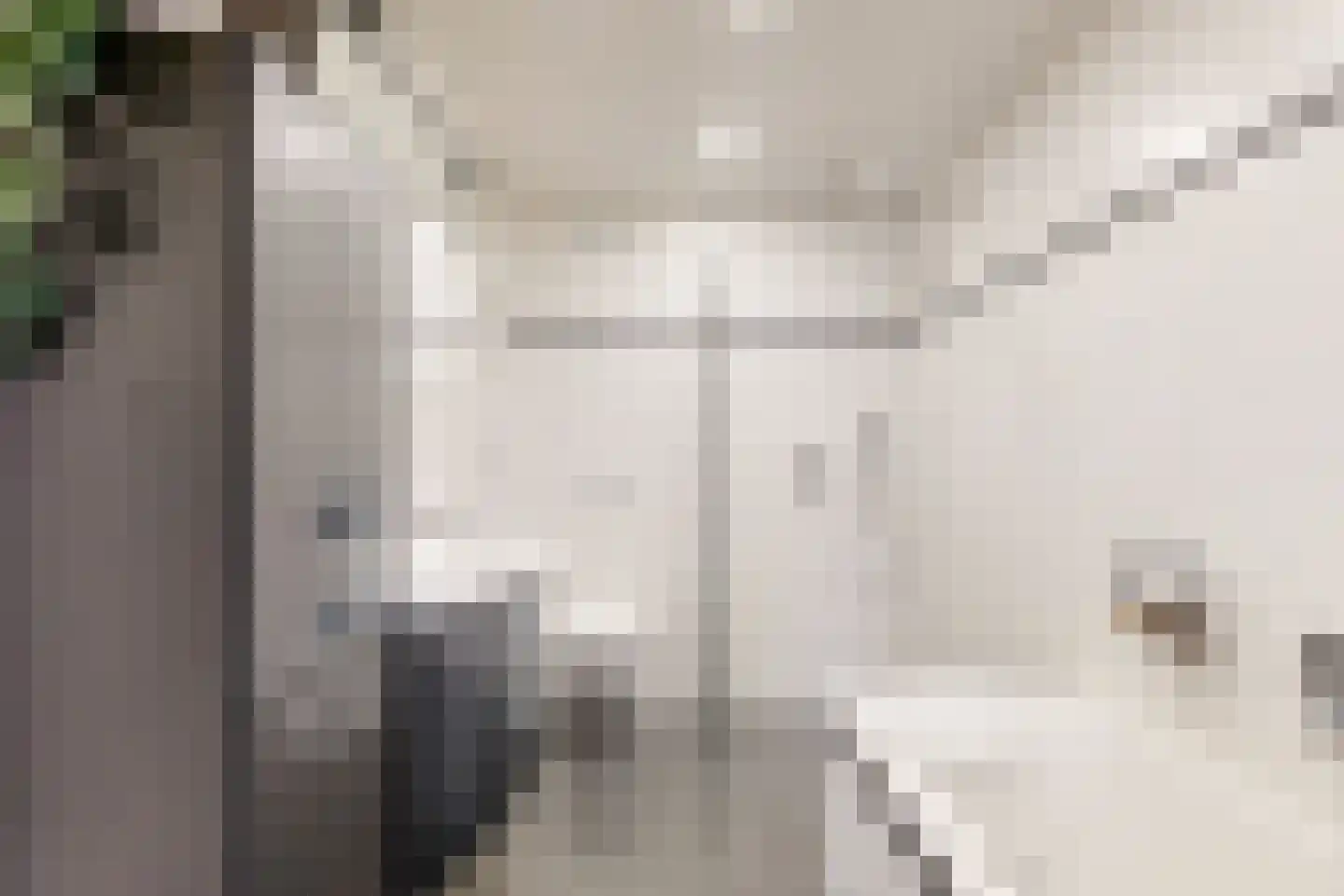 Kasteel Aldenghoorstraat 25 Roermond thumbnail 4