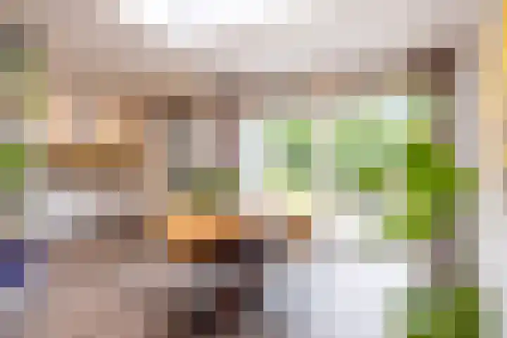Kasteel Aldenghoorstraat 30 Roermond thumbnail 19
