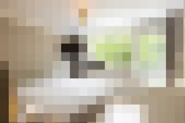 Kasteel Aldenghoorstraat 30 Roermond thumbnail 27