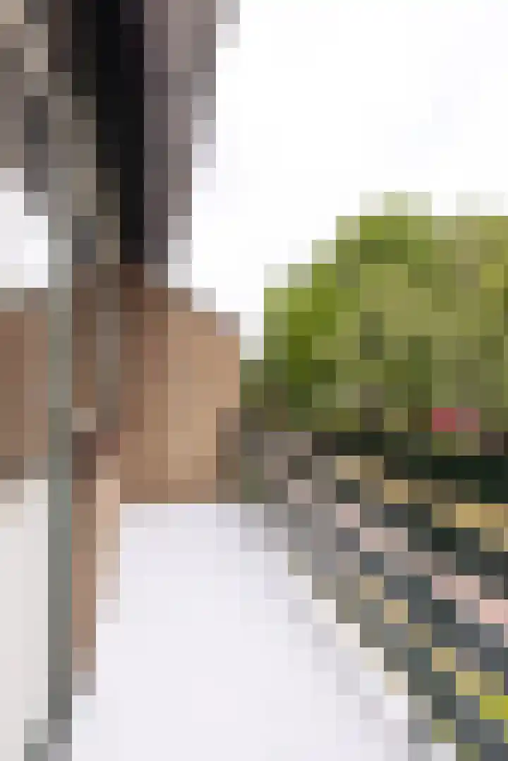 Kasteel Aldenghoorstraat 30 Roermond thumbnail 28