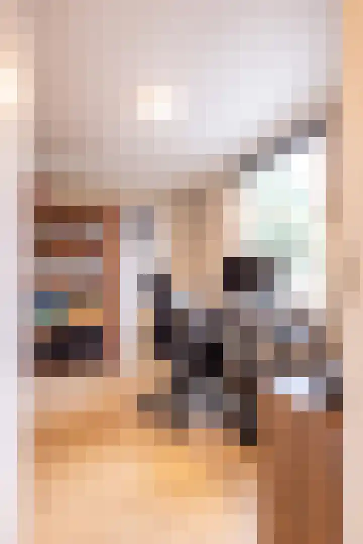 Kasteel Aldenghoorstraat 30 Roermond thumbnail 29