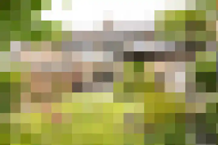 Kasteel Aldenghoorstraat 30 Roermond thumbnail 37