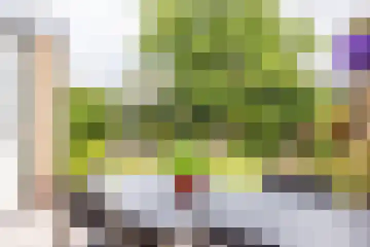 Kasteel Aldenghoorstraat 30 Roermond thumbnail 40