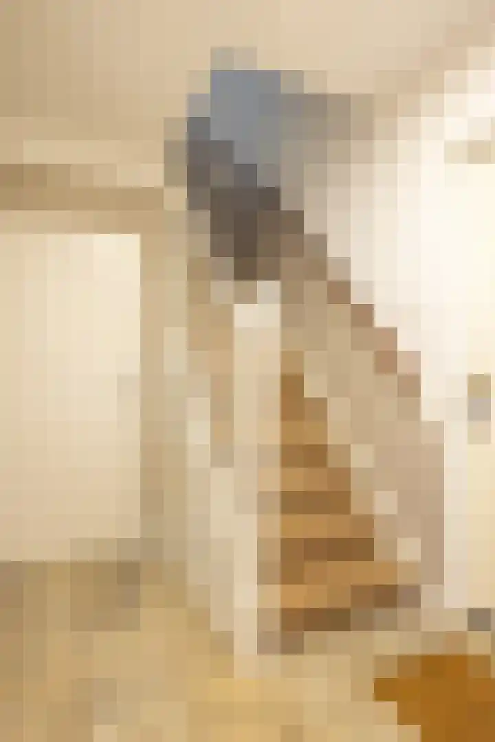 Kasteel Aldenghoorstraat 30 Roermond thumbnail 6
