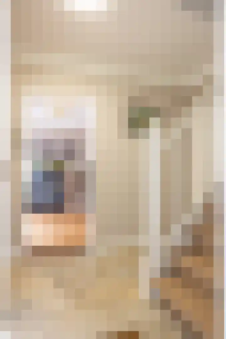 Kasteel Aldenghoorstraat 30 Roermond thumbnail 7