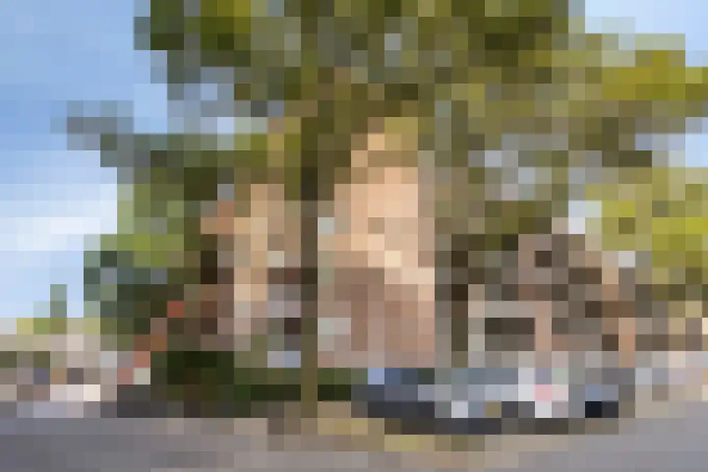 Kasteel Aldengoorstraat 17 B Maastricht thumbnail 27