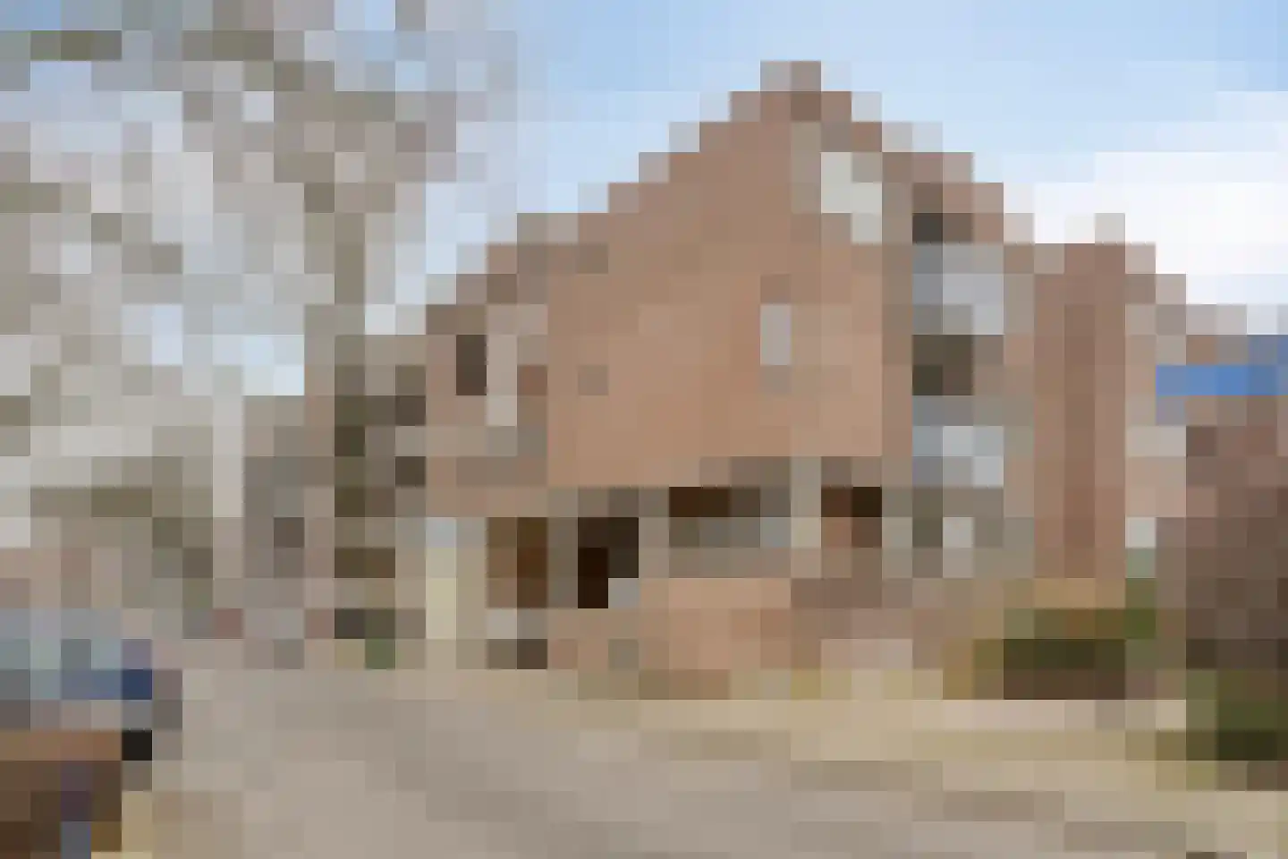Kasteel Aldengoorstraat 17 D Maastricht thumbnail 30