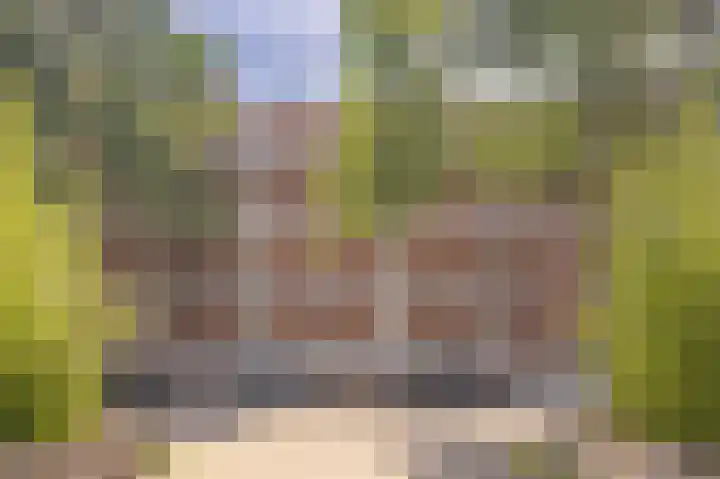 Kasteel Aldengoorstraat 23 B Maastricht thumbnail 14