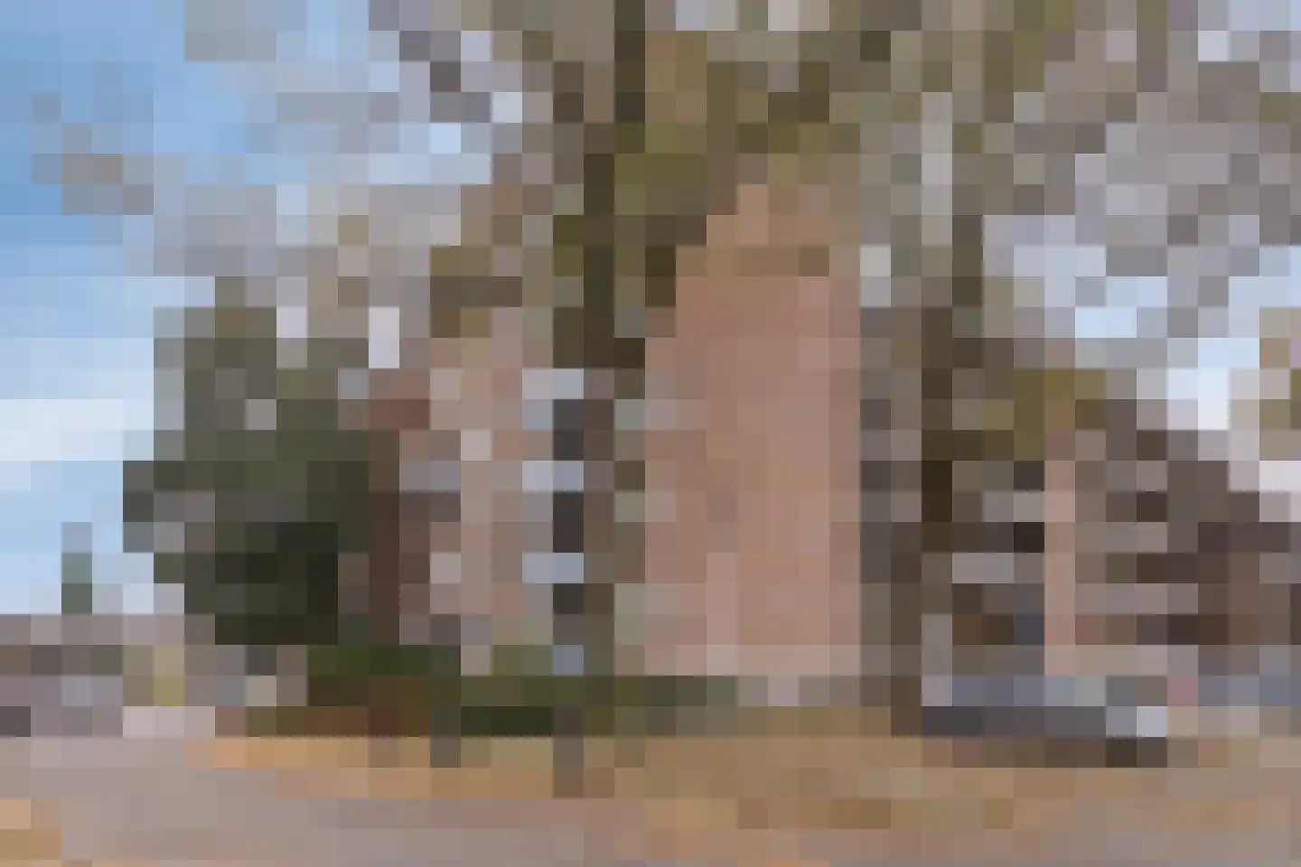 Kasteel Aldengoorstraat 3 D in Maastricht